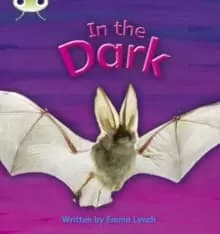 Image of Bug Club Phonics Non Fiction Reception Phase 3 Set 10 In the Dark