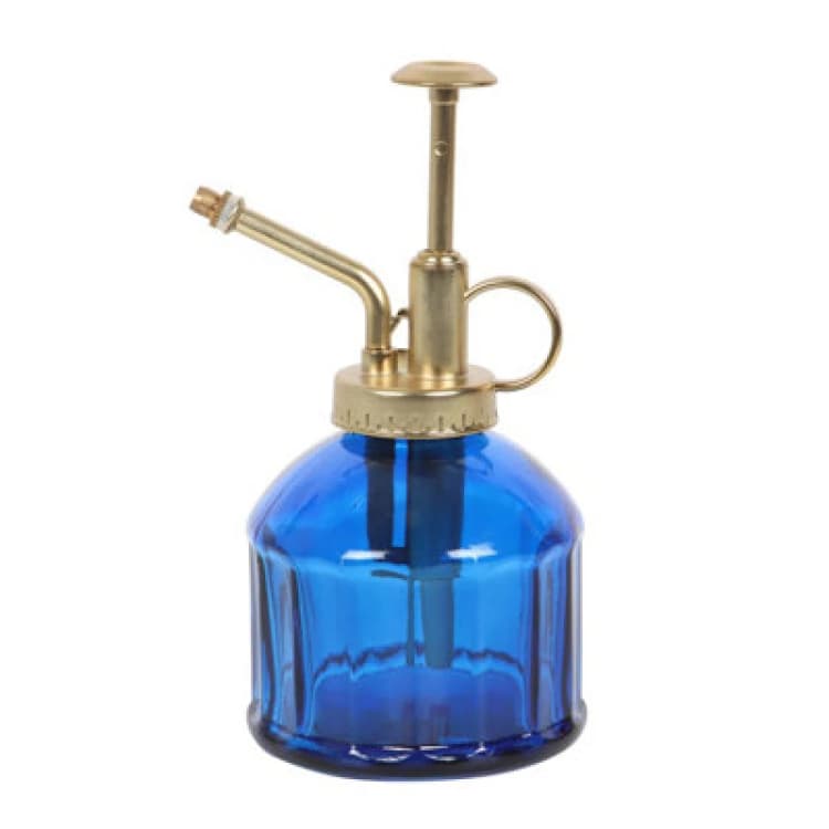 Image of Something Different Something Different Glass Plant Mister in Blue Blue One Size Unisex 5063425428748