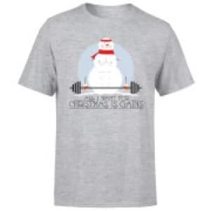Image of All I Want For Christmas Is Gains T-Shirt - Grey - 3XL