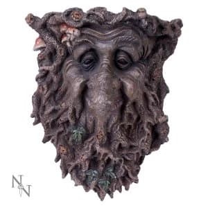 Image of Wylde Wisdom Wall Art