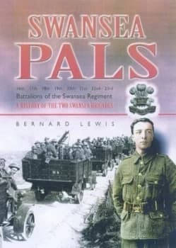 Image of Swansea Pals by Bernard Lewis Hardback