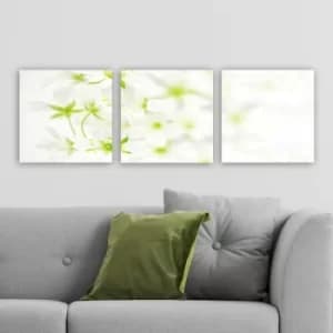 Image of PDR9972 Multicolor Decorative Canvas Painting (3 Pieces)