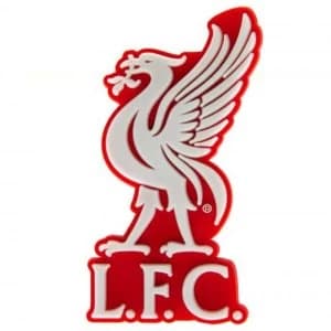Image of Liverpool FC 3D Fridge Magnet
