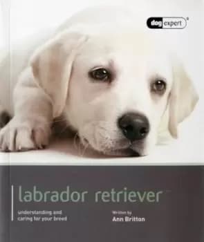 Image of Labrador Retriever - Ann Britton - Paperback - Used