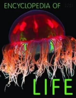 Image of Encyclopedia of life by Camilla De la Bdoyre