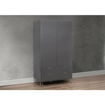 Image of Arlo Matte Grey 2 Door Wardrobe Gold Handles & Hair Pin Legs - Birlea