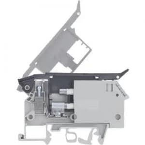 Image of Fuse clip 57.904.5355.0 Wieland Content