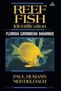 Image of reef fish identification florida caribbean bahamas 4th edition