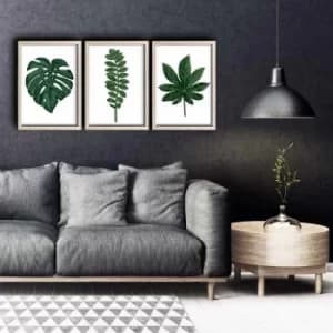 Image of 3PKCT-012 Multicolor Decorative Framed MDF Painting (3 Pieces)