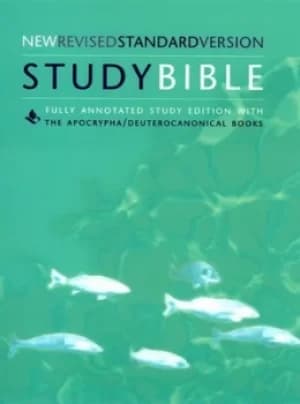 Image of The HarperCollins study Bible by Wayne A Meeks
