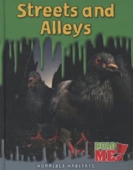 Image of Streets and Alleys by Sharon Katz Cooper Hardback