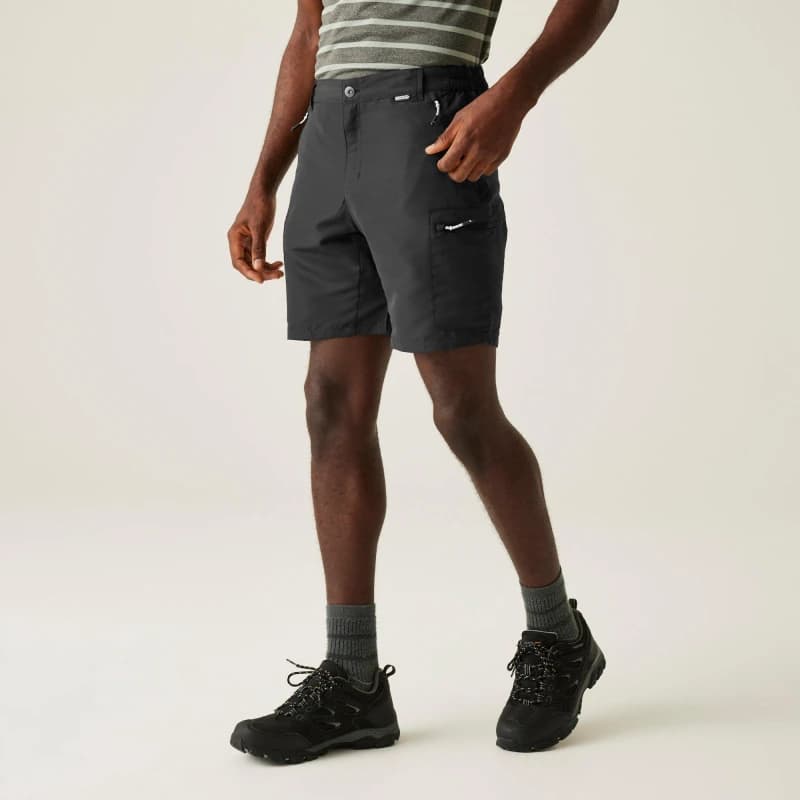 Image of Regatta Leesville III Shorts Ash male 30