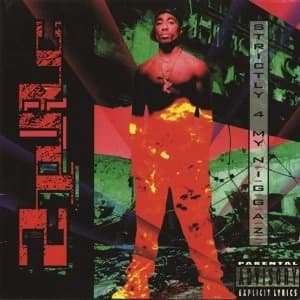 Image of 2Pac - Strictly 4 My N.I.G.G.A.Z Vinyl