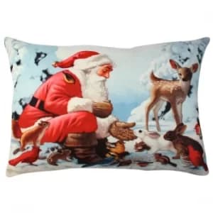 Image of A50912 Multicolor Cushion