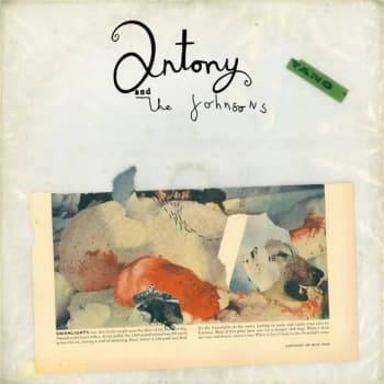 Image of Antony And The Johnsons - Swanlights Vinyl