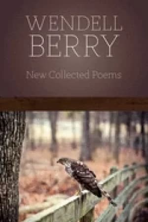 Image of new collected poems
