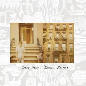 Image of Steve Gunn Boerum Palace Blue Vinyl Vinyl