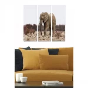 Image of MDF1170103 Multicolor Decorative MDF Painting (3 Pieces)