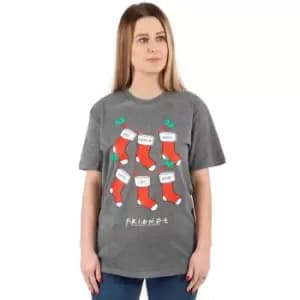 Image of Friends Womens/Ladies Stocking Christmas T-Shirt (3XL) (Grey/Red/White)