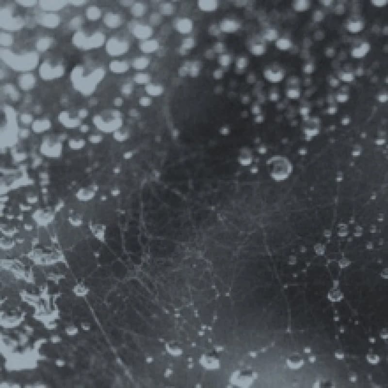 Image of Noiseem Vinyl