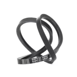 Image of SKF V Belt NISSAN VKMV 13.7x975 11720AD200,11720AU600 Fenner Belt