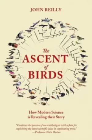 Image of The ascent of birds by John T. Reilly