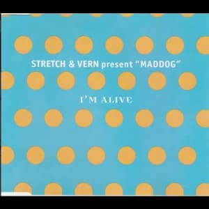 Image of Im Alive Vinyl
