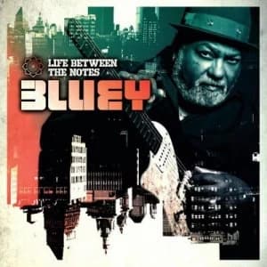 Image of Life Between the Notes by Bluey CD Album