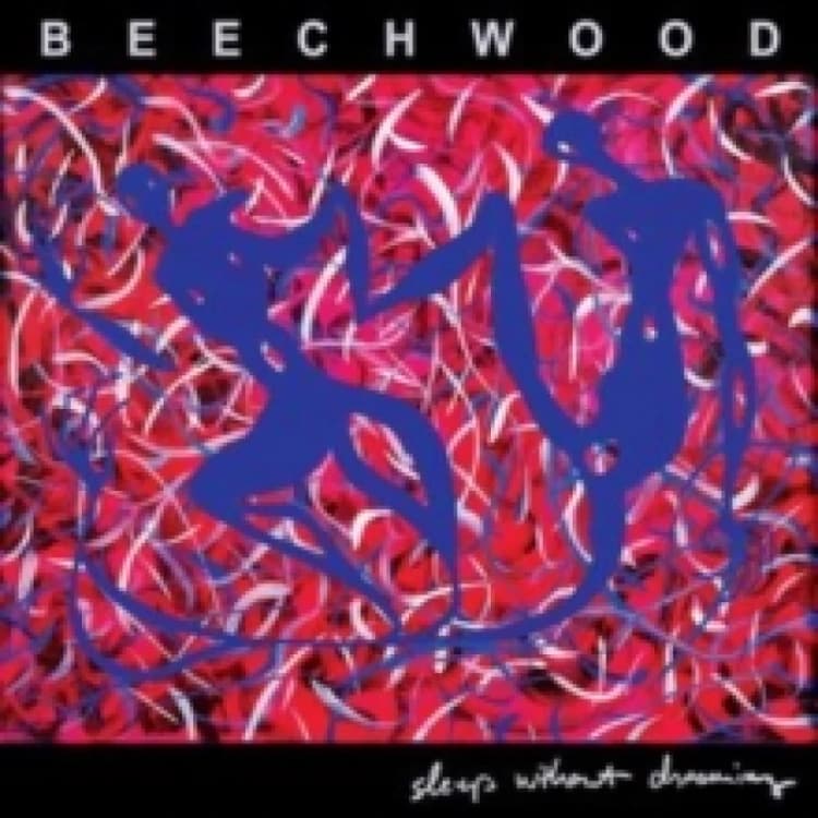 Image of Sleep without dreaming Vinyl