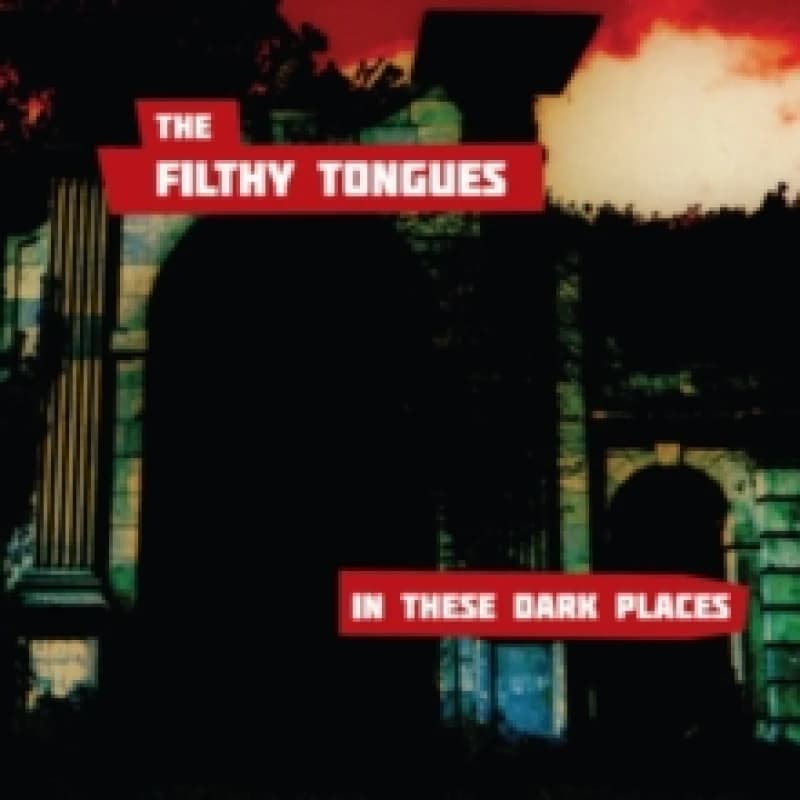 Image of In the Dark Places Vinyl