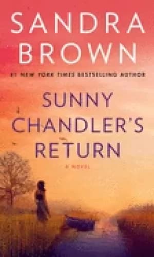 Image of sunny chandlers return a novel
