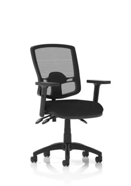 Image of Eclipse Plus III Deluxe Mesh Back With Black Seat With Height Adjustable Arms