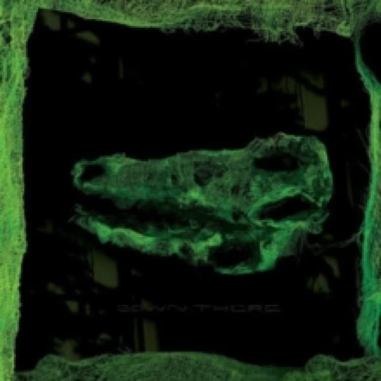 Image of Down There Vinyl
