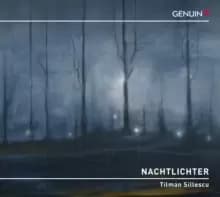 Image of Tilman Sillescu: Nachtlichter