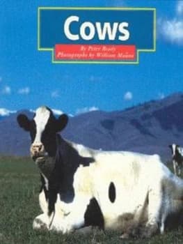 Image of Cows by P Brady Book