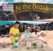 Image of At the Beach : Foundations for Phonics