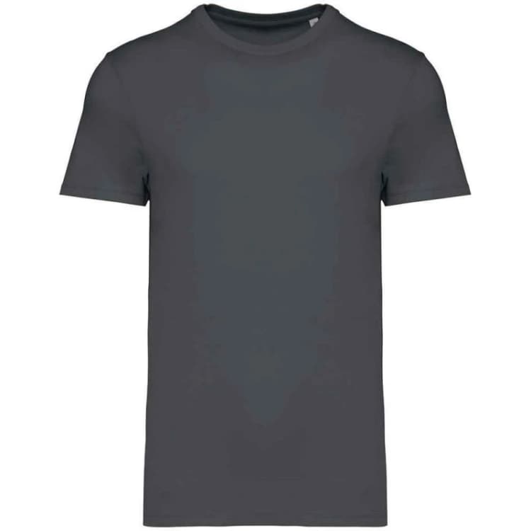 Image of Native Spirit Mens Heavyweight Slim T-Shirt in Grey Size: XS Grey Male XS