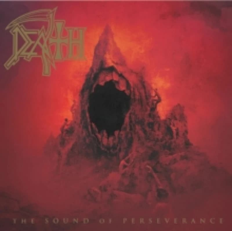 Image of The Sound of Perseverance Vinyl