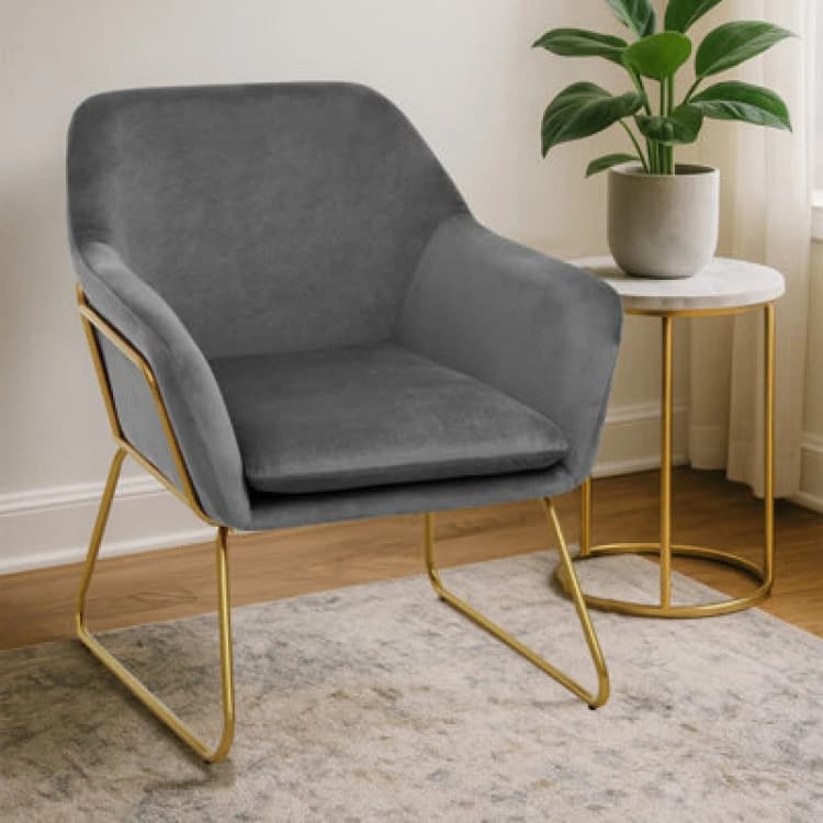 Image of Premier Housewares Durable And Versatile Grey Velvet Armchair, Easy Care Velvet Chairs, Indoor Dining with Velvet Dining Chair Grey