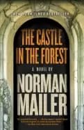 Image of castle in the forest a novel