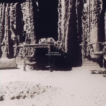 Image of Leifur James - Angel In Disguise Vinyl