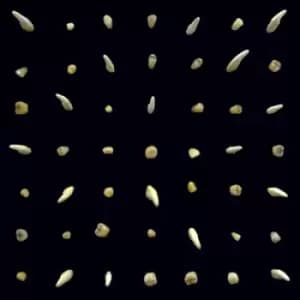 Image of Visions of Bodies Being Burned by clipping. CD Album