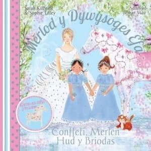 Image of Conffeti Merlen Hud Y Briodas by Sarah Kilbride Book