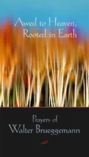 Image of Awed to heaven rooted in earth by Walter Brueggemann