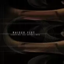 Image of Raised Fist - Ignoring The Guidelines