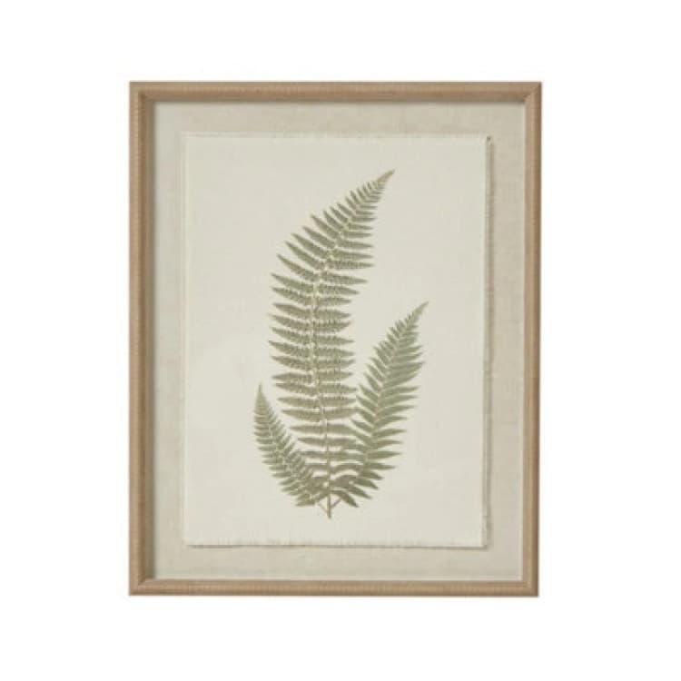 Image of Hill Interiors Fern Art On Texture-Torn Paper With Beaded Frame - Glass - L2 X W40 X H50 Cm - White