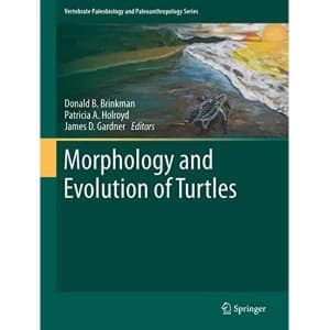 Image of Morphology and Evolution of Turtles by Springer (Hardback, 2012)