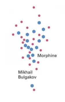Image of Morphine by Mikhail Afanase Bulgakov Paperback