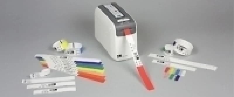 Image of Zebra Z-Band Direct Pink