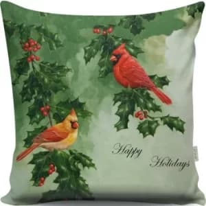 Image of A13061 Multicolor Cushion
